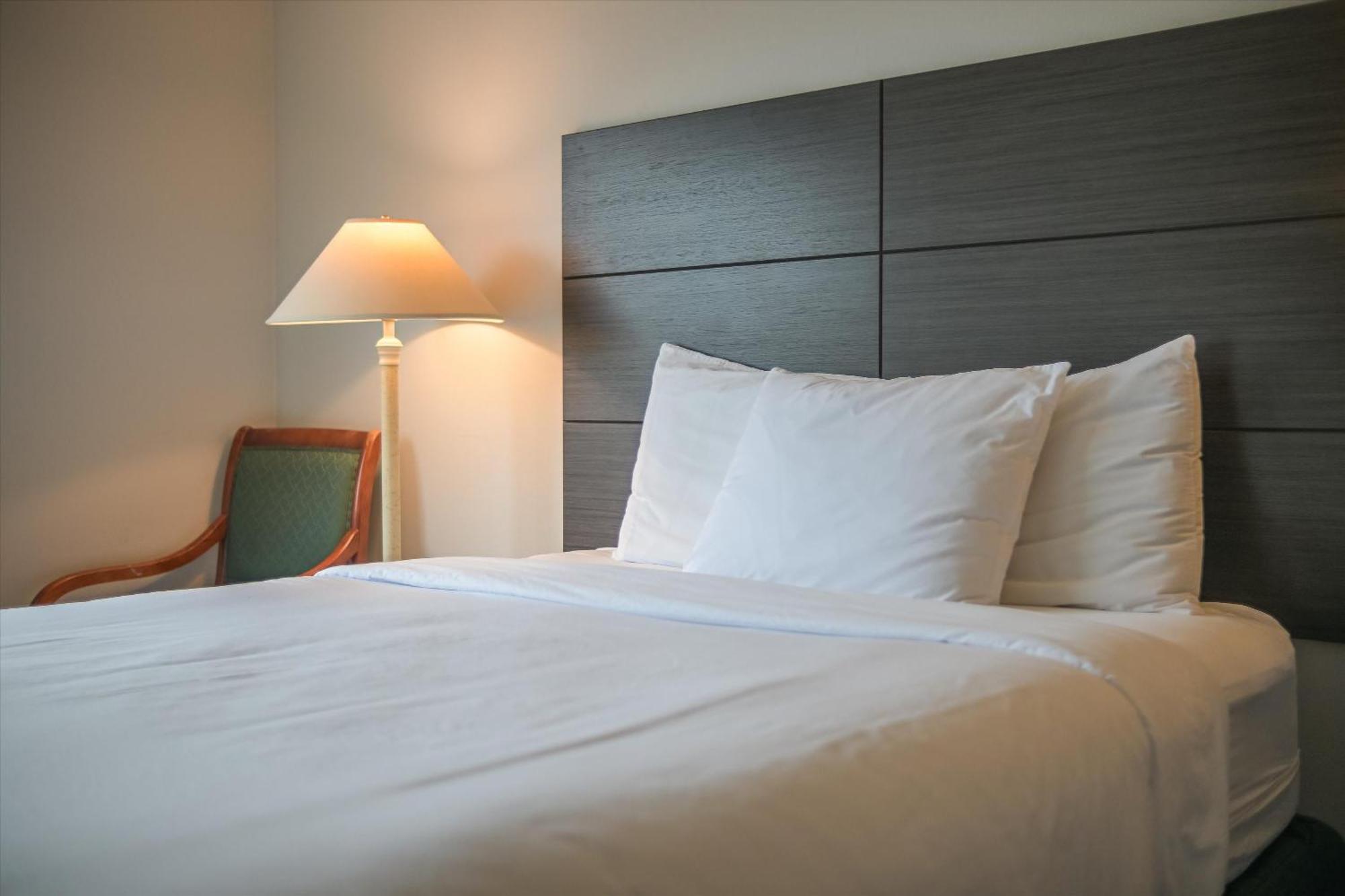 Baymont Inn & Suites By Wyndham Μπέλινγκχαμ Εξωτερικό φωτογραφία